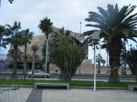 Konserthuset bak palmer