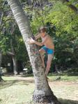 18. Jacob prøver seg på en palme