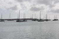 Baater paa anker og boeyer