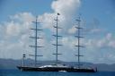 Majestetiske Maltese Falcon